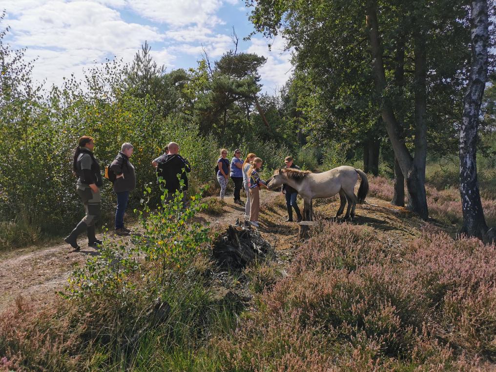 Grazerswandeling