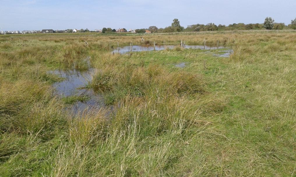 Panorama Puidebroeken 2
