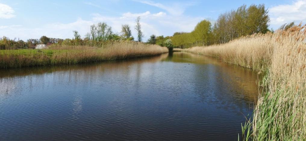 Moervaartvallei