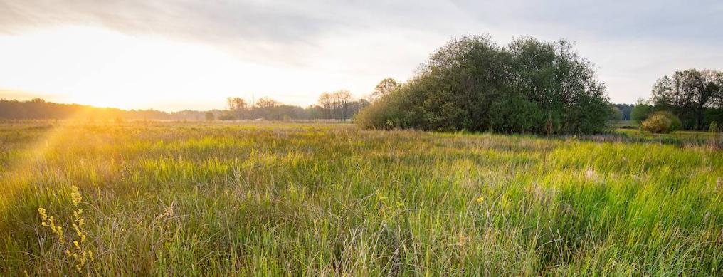 Vallei van de Zwarte Beek Vallei van de Zwarte Beek