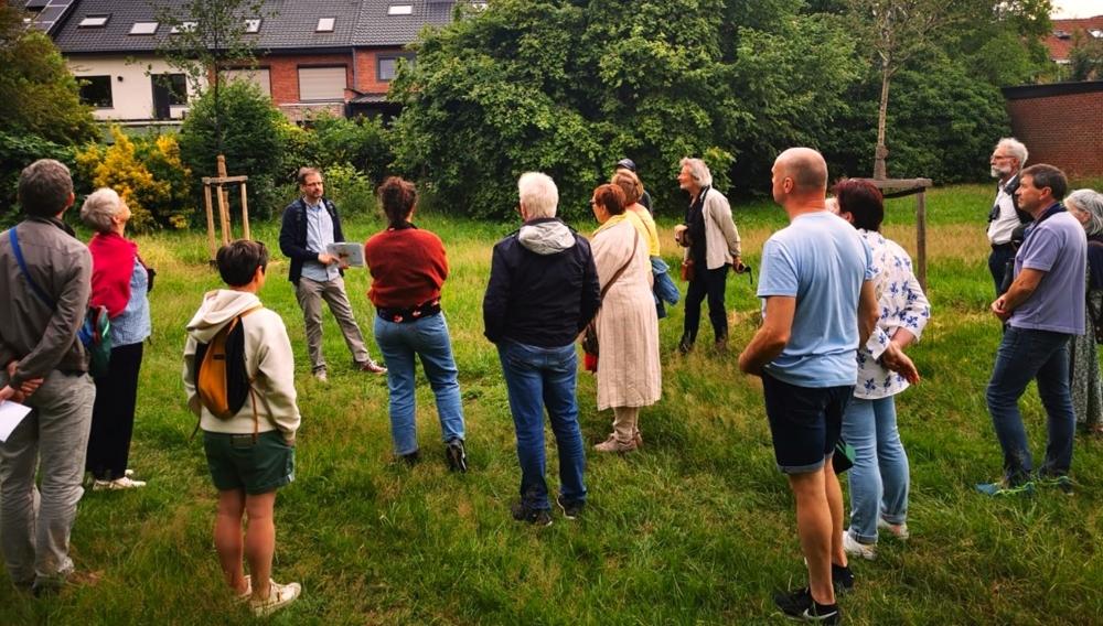 Gierzwaluw wandeling HZ