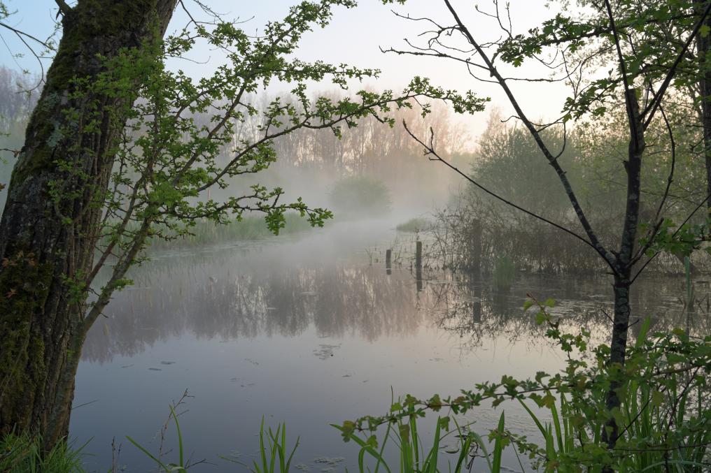 Keuzemeersen