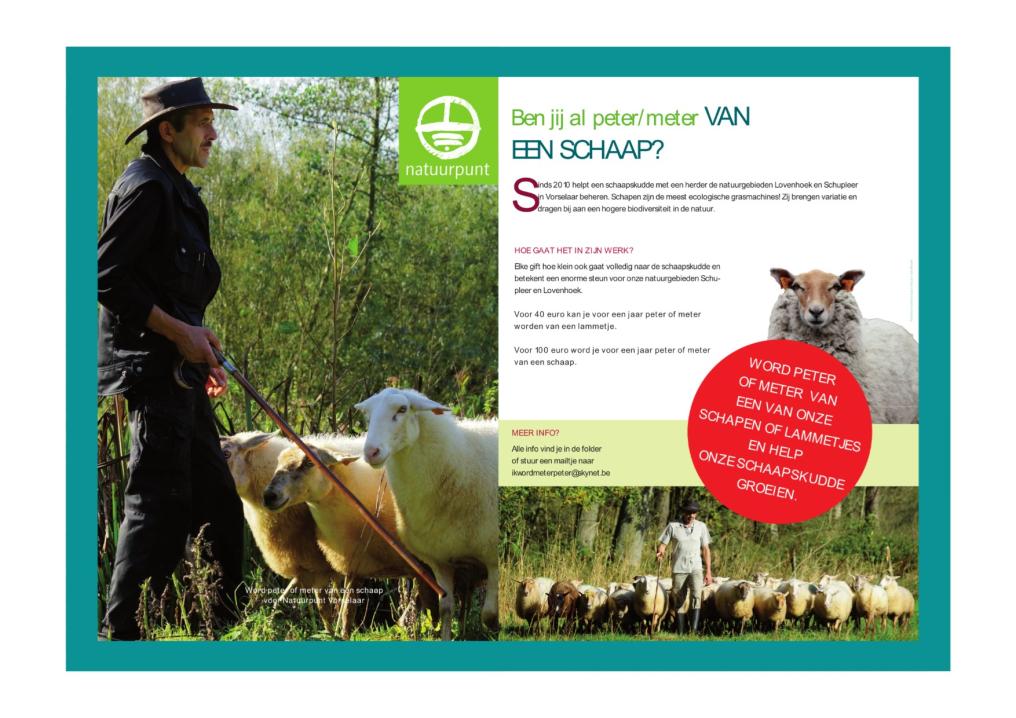 Peter/meter banner van schaap