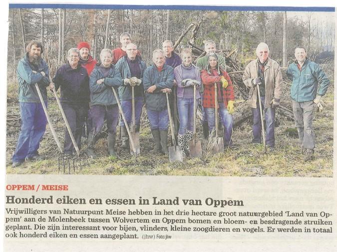 aanplant bos