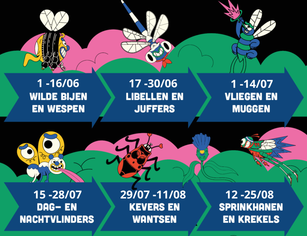 Insectenzomer Natuurpunt  