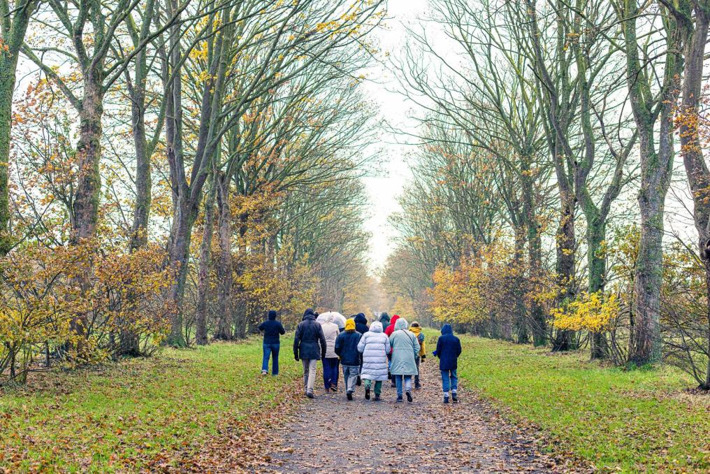 Wandeling in het Parkbos