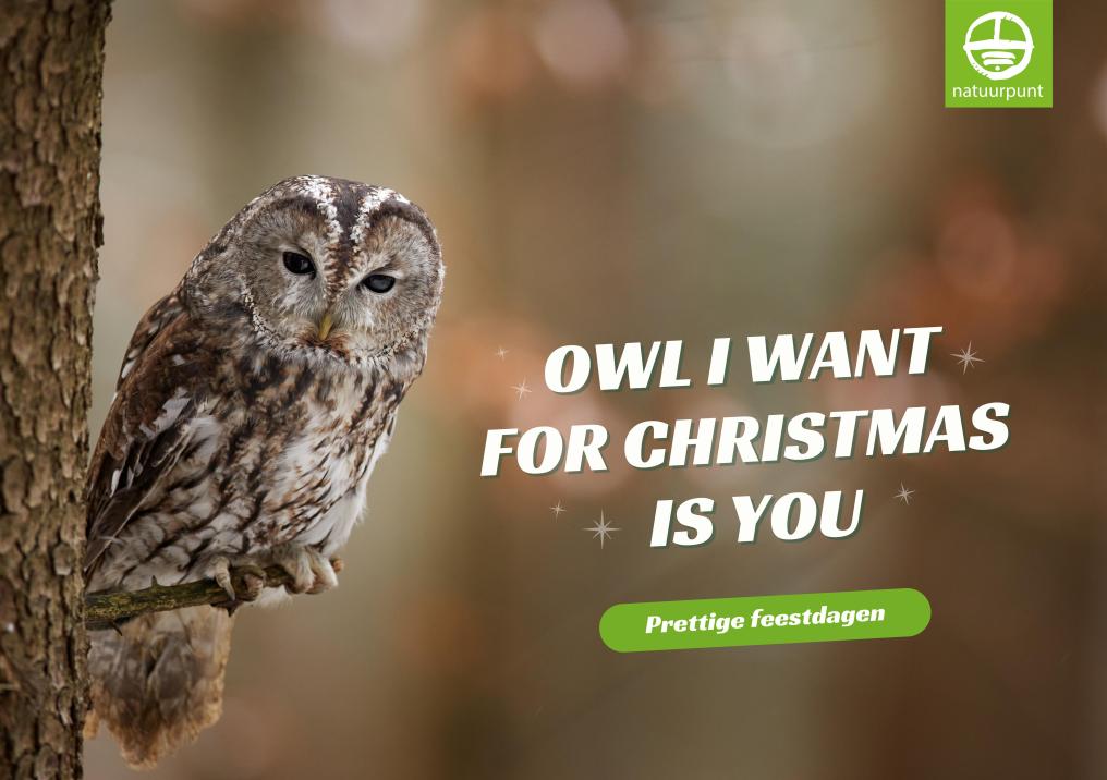 Wenskaart1-Owl I want