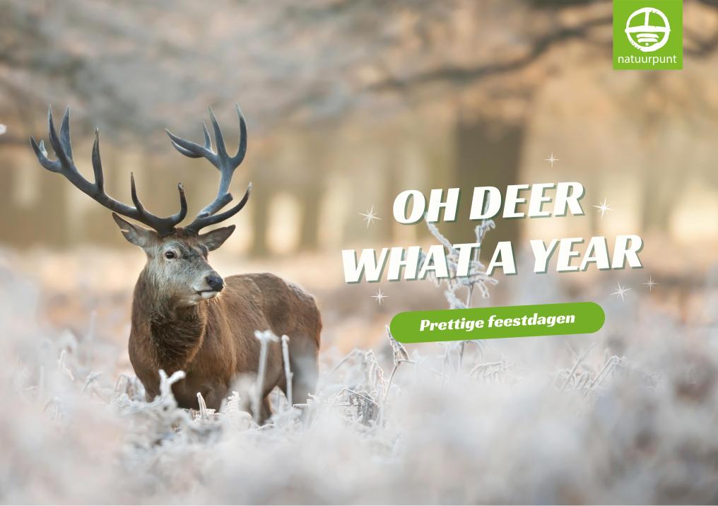 Wenskaart2-Oh deer