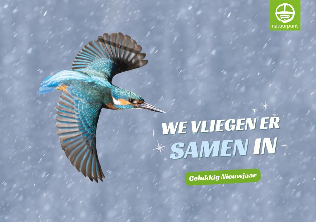 Wenskaart4- We vliegen er samen in