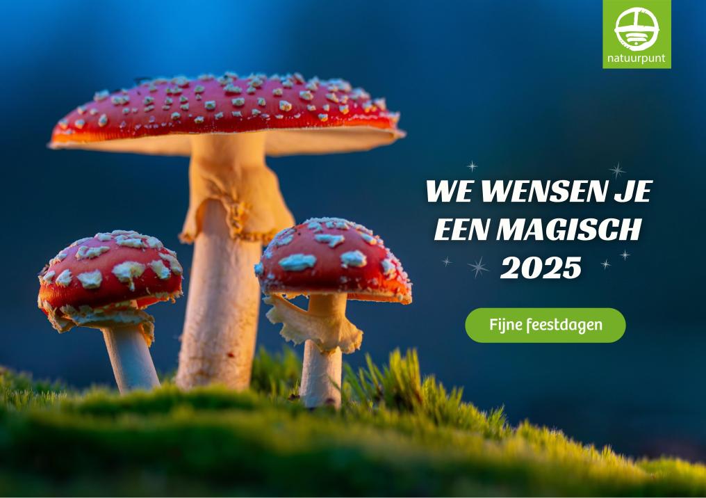 Wenskaart5-We wensen je een magisch 2025