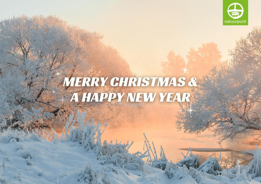 Wenskaart6- Merry christmas