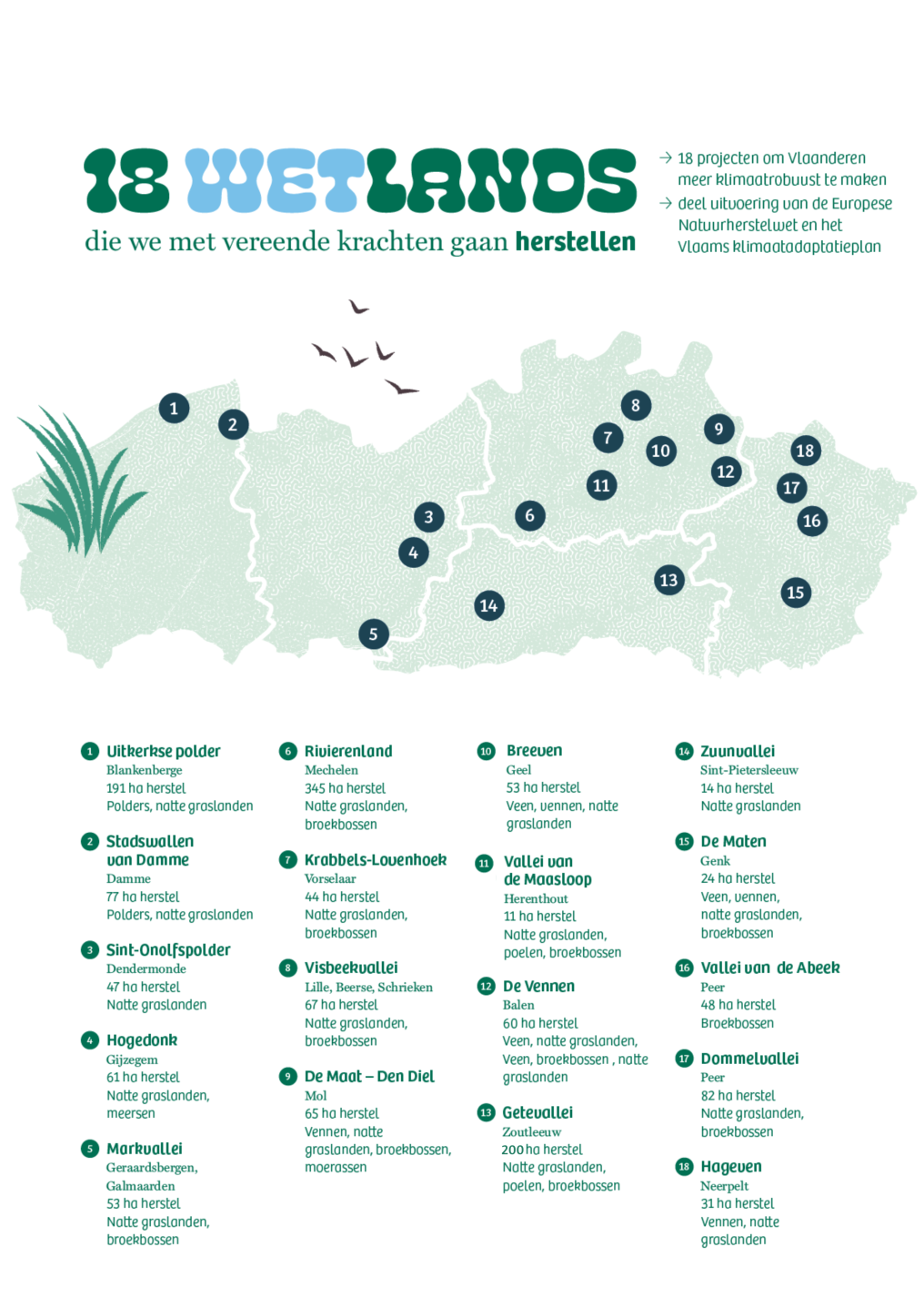 De 18 gebieden van het Wetlandplan met de wetlandtypes en -oppervlaktes die hersteld zullen worden.