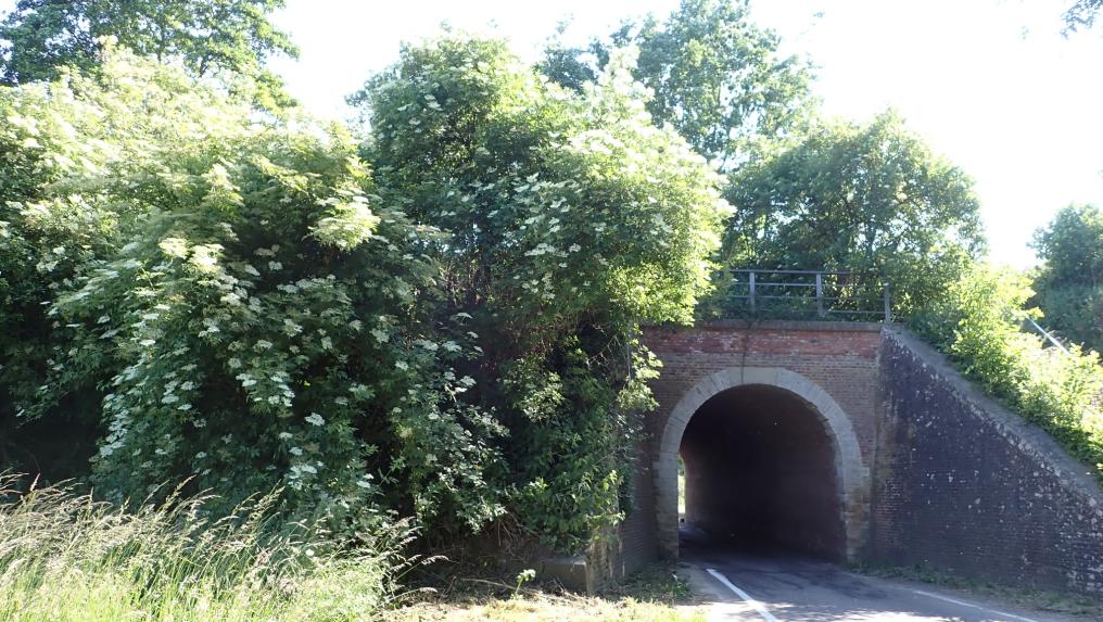 De spoorwegberm in betere tijden