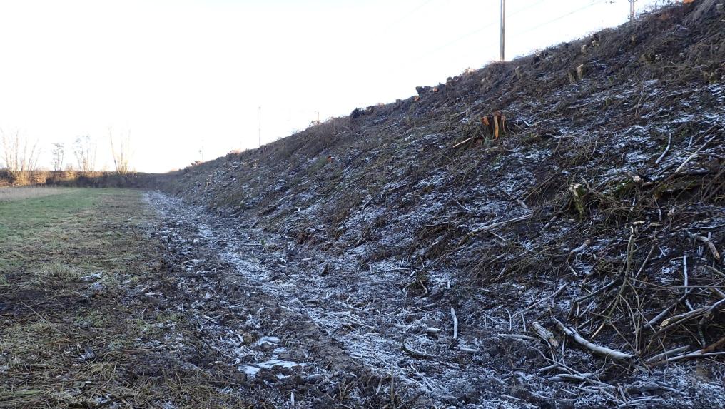 Kale spoorwegberm in Landen