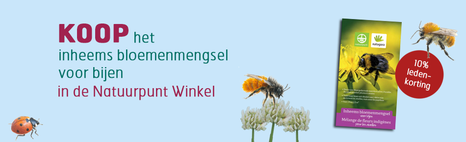 Nieuw inheems bloemenmengsel voor bijen van Natuurpunt