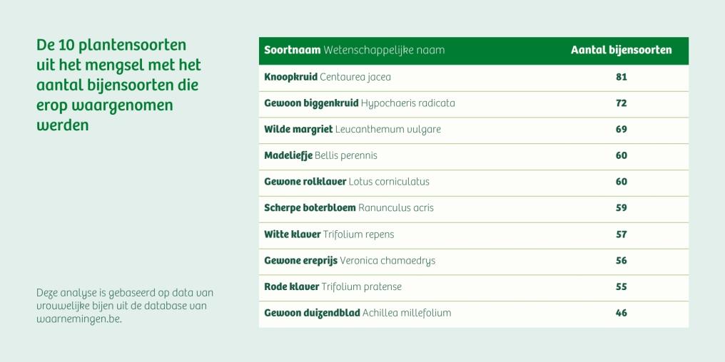 Grafiek bloemenmengsel
