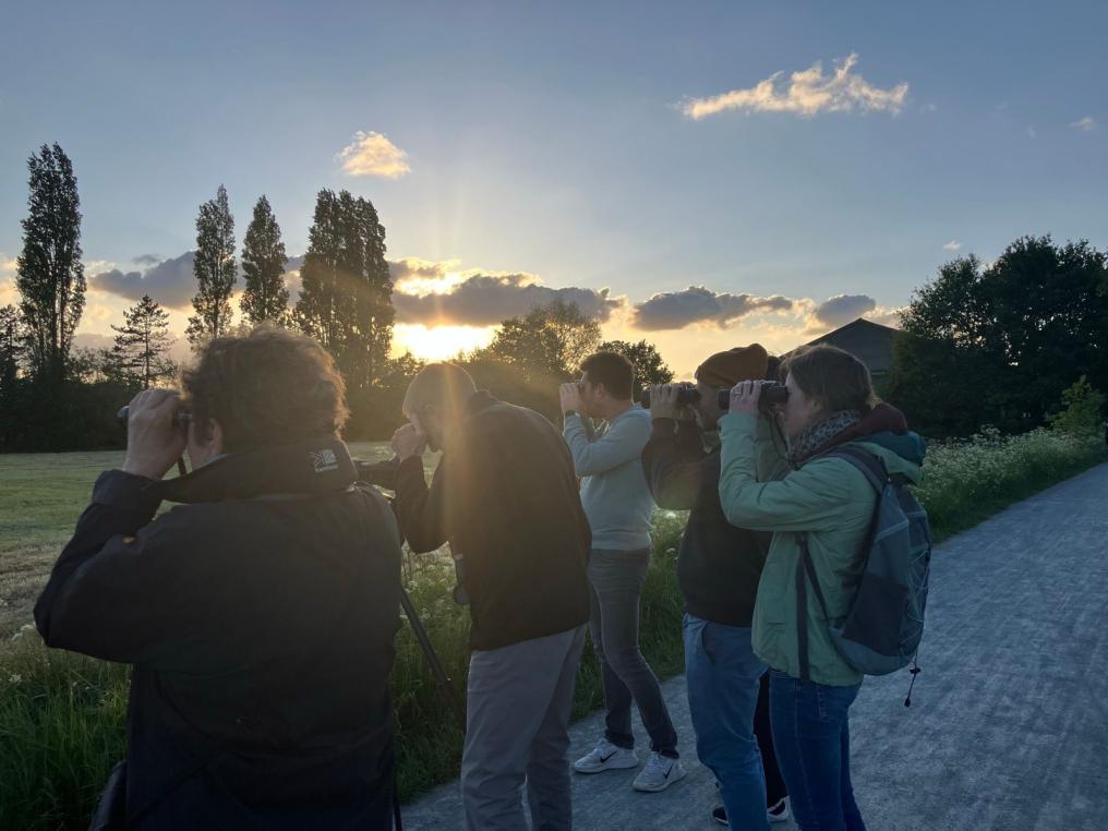 Vogelwandeling Vogelwandeling