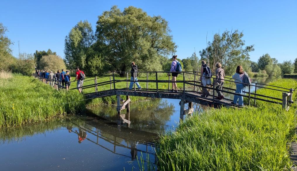 Paddenbroek