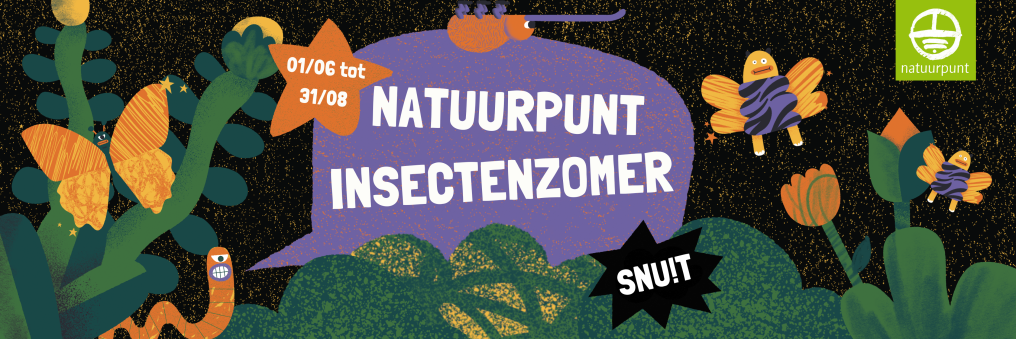 Insectenzomer