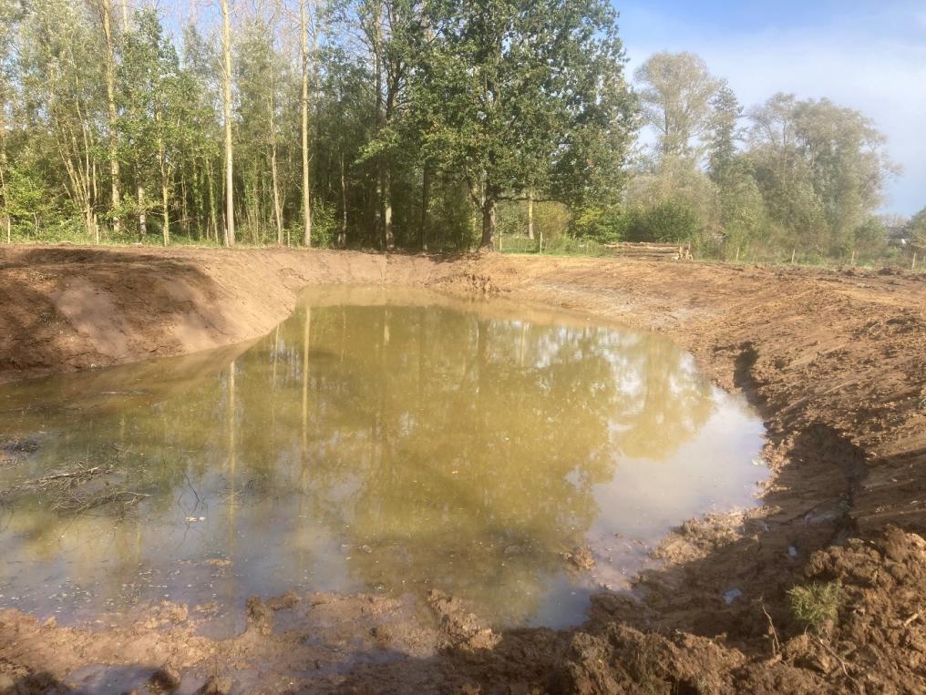Inrichtingswerken Honegem
