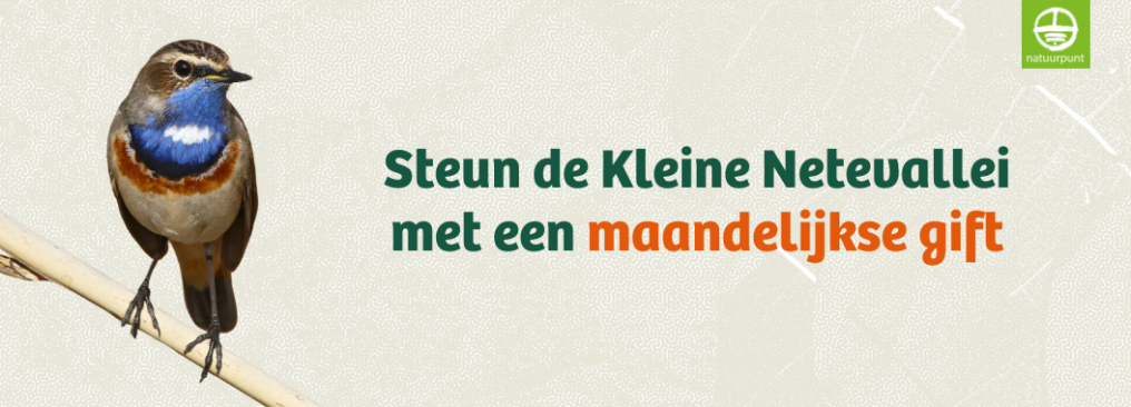 Steun de Kleine Netevallei met een maandelijkse gift