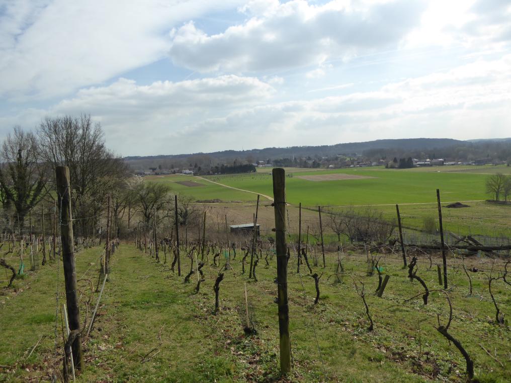 zicht van op de Houwaartse berg