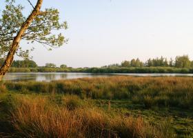 Bocholt-Moonen_Remi