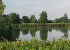 Borgloon-Stefan_Nimmegeers