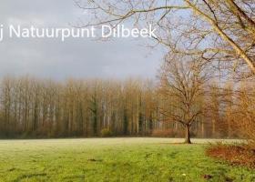 Dilbeek-Marc_Bruneel