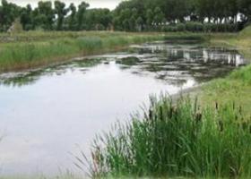 damme_reservaat2