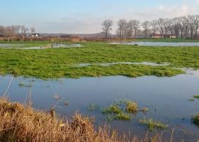 frank_de_scheemaeker-polderreservaat_dudzele