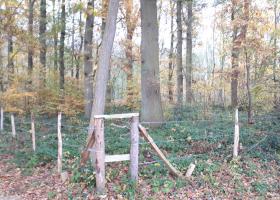 natuurherstel bos t' ename - Matthias Strubbe