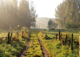 natuurpunt_meise_panoramafoto_site-eric_dierickx
