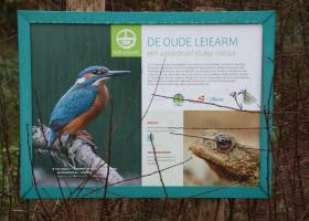 oude_leiereservaat_kuurne_-_dirk_desmet