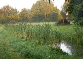 patrick_de_clercq_-_wijmelbroek_-_deerlijk