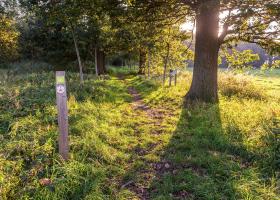 plaisiersbos-natuurpunt_zedelgem-_erwin_derous
