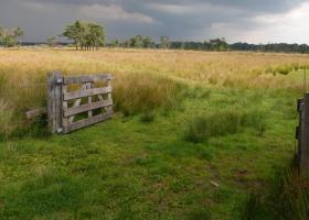 natuur.kempen_typisch_landschap_-willy_vangeel