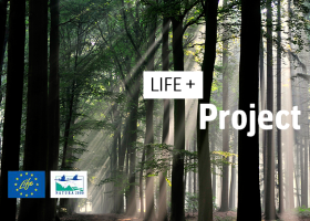LIFE + project