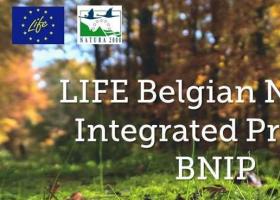 achtergrondbeeld_bnip_met_logos_0
