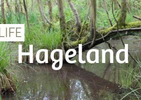 header_life_hageland