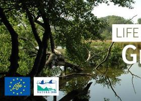 life-greenvalleys