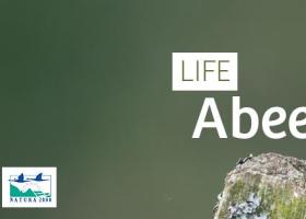 life_abeek_-_header