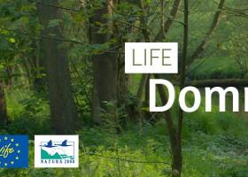 life_dommeldal