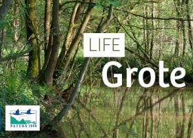 life_grote_nete_-_header