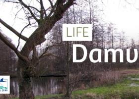 life_header_damvallei