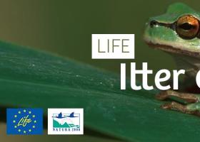 life_itter_en_oeter_-_header