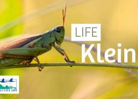 LIFE Kleine Nete