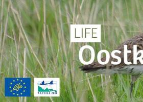 life_oostkustpolders_-_header
