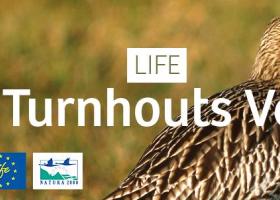life_turnhouts_vennengebied