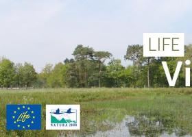 life_visbeek_-_header